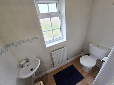 Picture 7